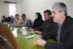 دبیر خانه اقتصاد سبز مبتنی بر اقتصاد مقاومتی در بوشهر راه اندازی شد