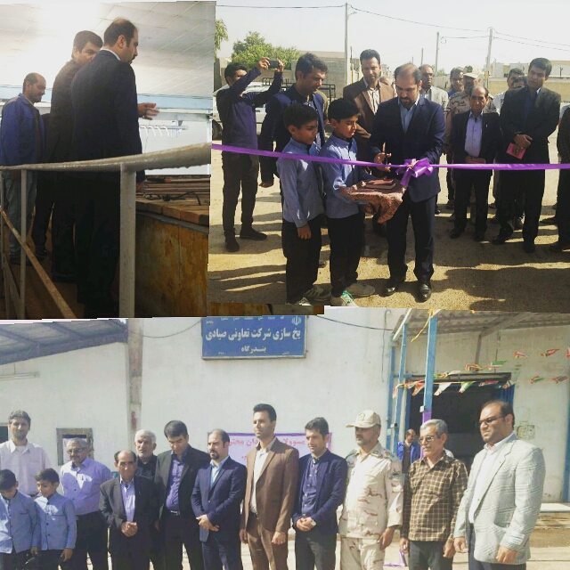 راه‌اندازی مجدد کارخانه یخ‌سازی بندرگاه+عکس