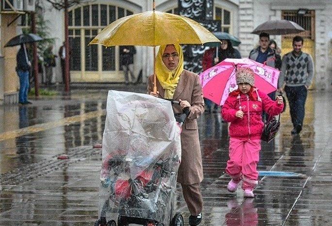 استان بوشهر در آخرین روزهای سال بوی باران می گیرد