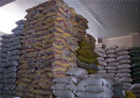 معطل ماندن ۸۰۰ تن برنج در گمرک بوشهر