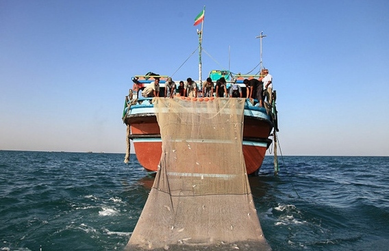 صید میگو در آبهای بوشهر آغاز شد