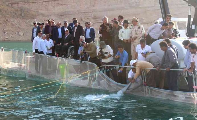 طرحی با ۴۰۰ نفر اشتغال/ماهی سی باس، ۴ ماه دیگر در سفره بوشهری‌ها