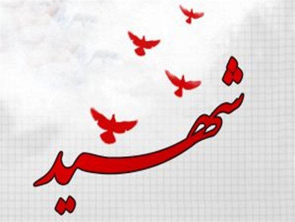 هشتمین شهید مدافع سلامت بوشهر