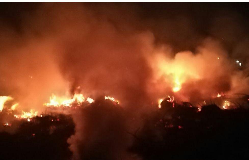 چهل و سومین مورد آتش‌سوزی در استان