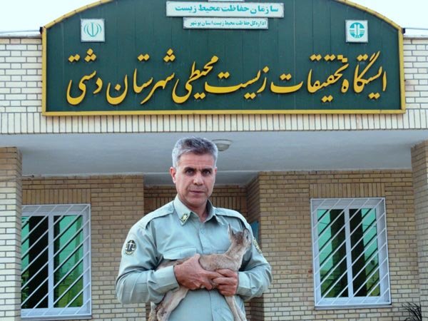 شکارچی متخلف در دشتی دستگیر شد