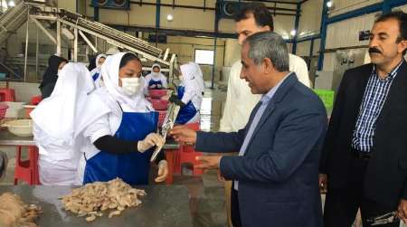 فرماندار:مهمترین اولویت دولت در شهرستان دیرتوسعه اشتغال است