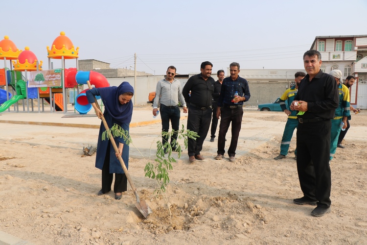 اجرای درختکاری به مناسبت شهادت ۷۲ تن  از شهدای دشت کربلا در برازجان+عکس