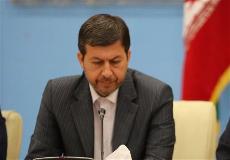 معاون وزیر: پروژه جزیره نگین در کشور بی‌نظیر است
