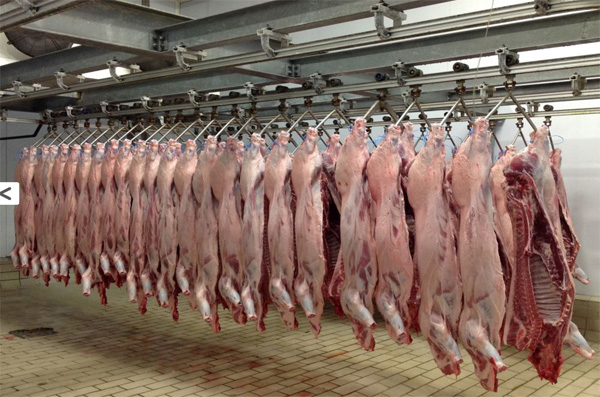 ۴۰۰ تن گوشت وارداتی در اختیار بوشهر+قیمت