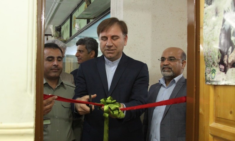 دبیرخانه حفاظت از پلنگ ایرانی دردشتستان راه اندازی شد+عکس