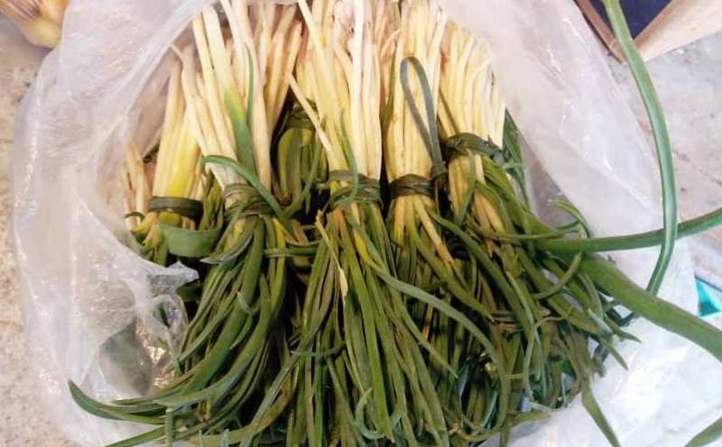 سیر وحشی با نرخ ۵۰۰هزار تومان در بازار گناوه عرضه شد