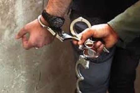 عامل کلاهبرداری ۷۰ میلیاردی از شهروندان بوشهری دستگیر شد