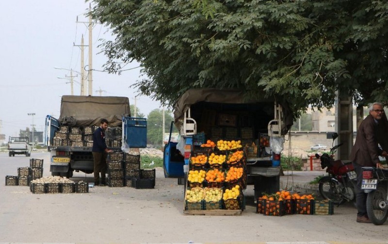 ذخیره‌سازی ۸۰۰ تن پرتقال و سیب در استان