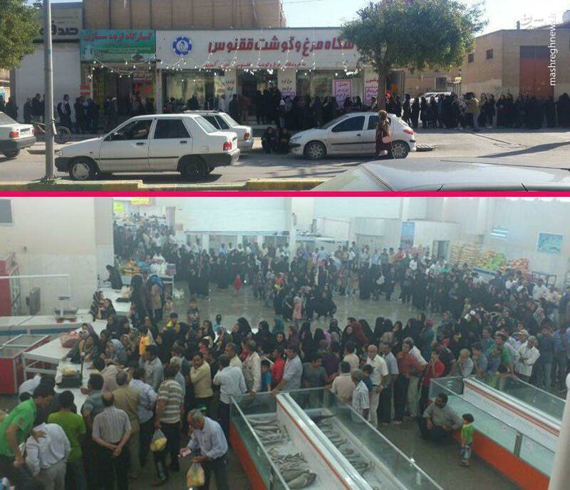 عکس/ صف طویل مرغ در بوشهر