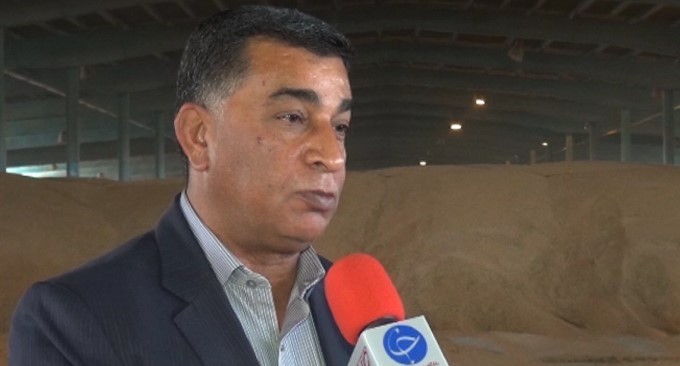 خرید ۴۰ هزار تن گندم از کشاورزان بوشهری