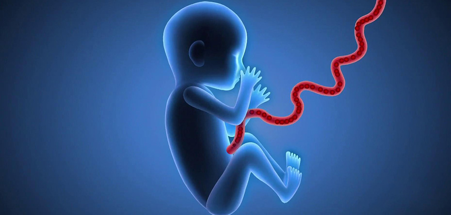 ذخیره خون بند ناف نوزاد چه مزایایی دارد و چقدر آب می‎خورد؟