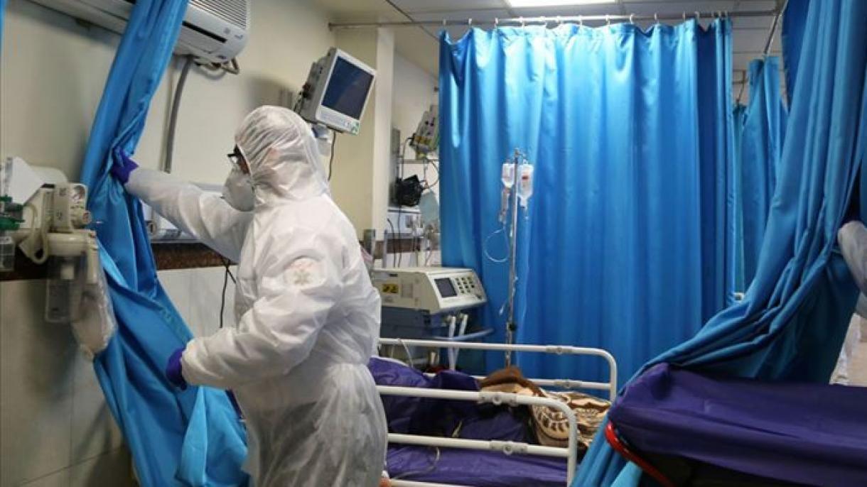 مبتلایان به کرونا در بوشهر ۱۸۷ نفر شد/ساحل بوشهر مکانی برای انتشار ویروس