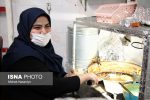 قصه دختری که از حلوای انگشت‌پیچ و پکورا پول می‌سازد