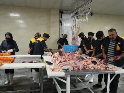 افتتاح نخستین کارخانه تولید و فرآورده‌های گوشتی استان+ تصویر