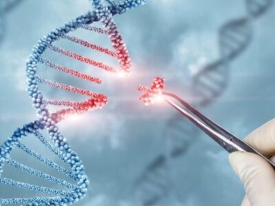 پژوهشگر بوشهری ژن جدید را ثبت جهانی کرد