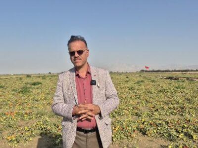 خسارت کشاورزان بوشهر در هیات دولت بررسی می‌شود