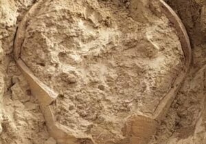 ماجرای کشف کوزه ساسانی پر از طلا در بوشهر+عکس