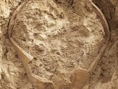 ماجرای کشف کوزه ساسانی پر از طلا در بوشهر+عکس