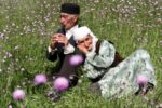 آمار جالب ازدواج و فرزندآوری سالمندان بوشهر
