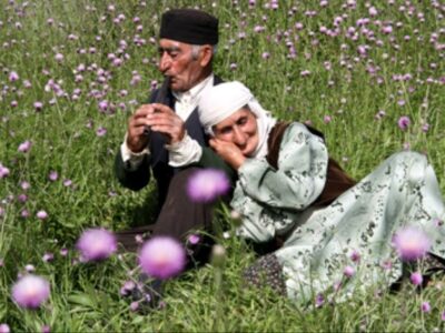 آمار جالب ازدواج و فرزندآوری سالمندان بوشهر