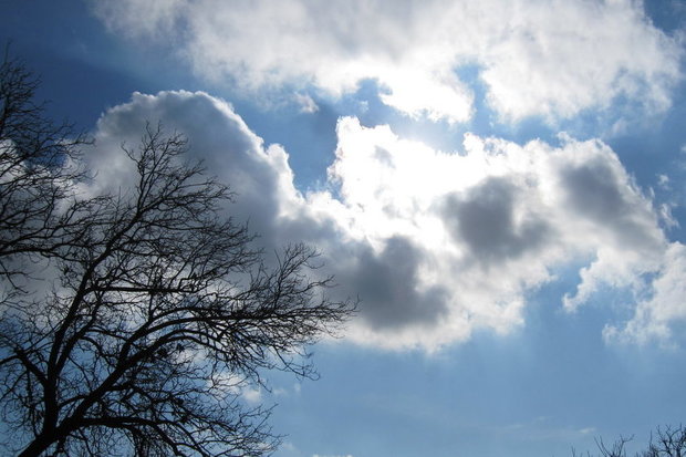 رگبار باران و رعدوبرق در استان بوشهر/ مراقب سیل باشید