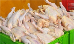 علوم پزشکی بوشهر:مصرف مرغ‌های پرچرب موجب اختلالات هورمونی در زنان می‌شود