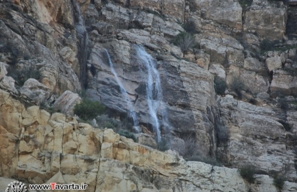 طبیعتی ناب از دامنه کوه پدری جم +تصویر