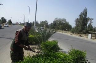 اردوی جهادی یک روز در عالیشهر برگزار شد+عکس