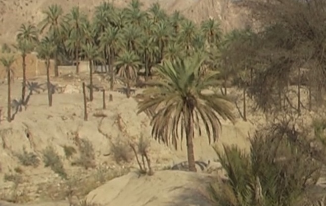 خشکسالی شدید در روستای رود فاریاب دشتستان