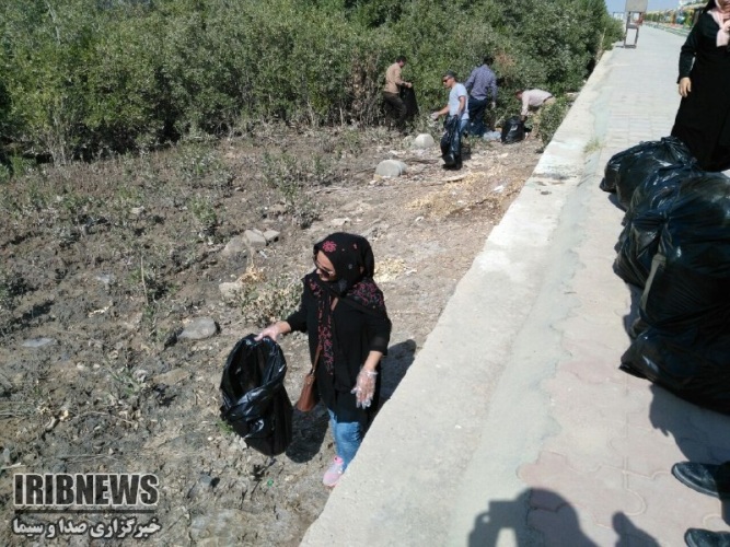 به همت دوستداران طبیعت  ساحل بندرریگ پاکسازی شد + تصویر