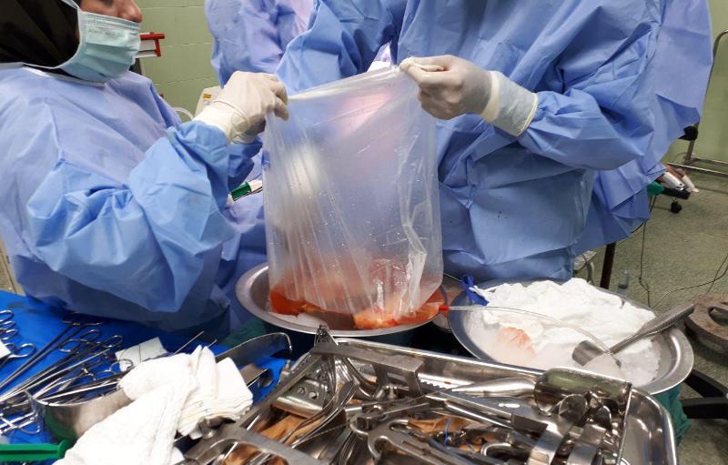 یازدهمین اهدای عضو در استان طی سالجاری+عکس