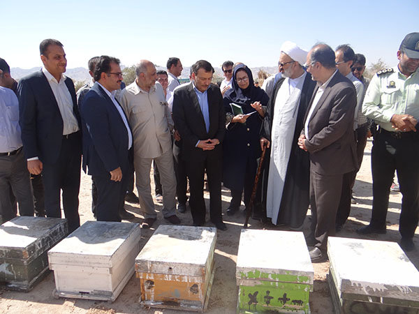 آغاز برداشت عسل در دشتی