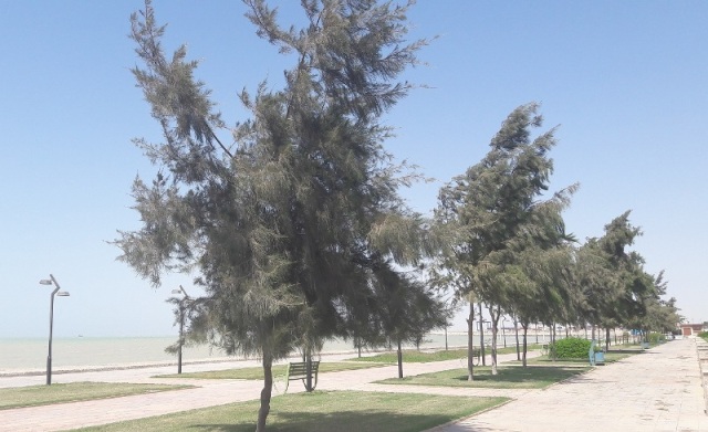 کاهش ۳ تا ۵ درجهای دما و ادامه تلاطم خلیج فارس