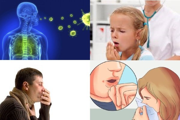 «سل» از کشنده‌ترین بیماری‌ها است/ روند نزولی در استان بوشهر