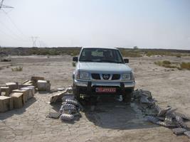 محموله تخم مرغ غیرمجاز در دشتی توقیف شد