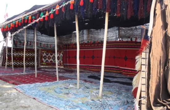 استقبال از ورود عشایر به استان+تصویر