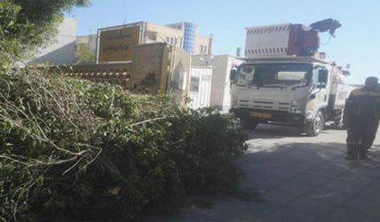 قطع برق شهرداری بوشهر و اقدام تلافی جویانه شرکت برق این استان صحت ندارد