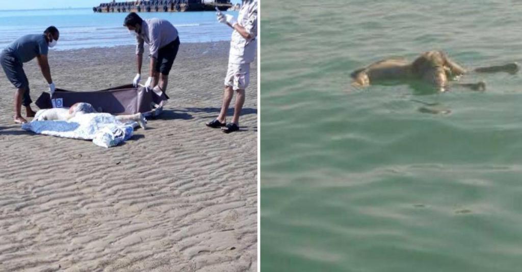 کشف جسد در خورخان دیر+عکس