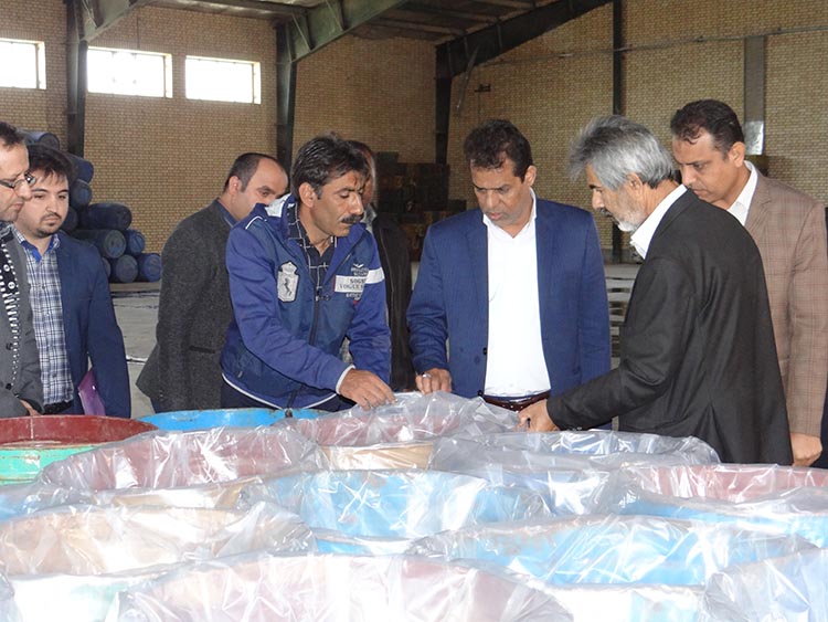 ایجاد نیروگاه خورشیدی در شهرک صنعتی خورموج