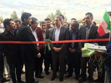 افتتاح بزرگترین طرح گلخانه ای گوجه فرنگی در دیر