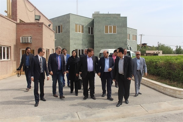 یونانی‌ها در منطقه ویژه بوشهر سرمایه‌گذاری می‌کنند