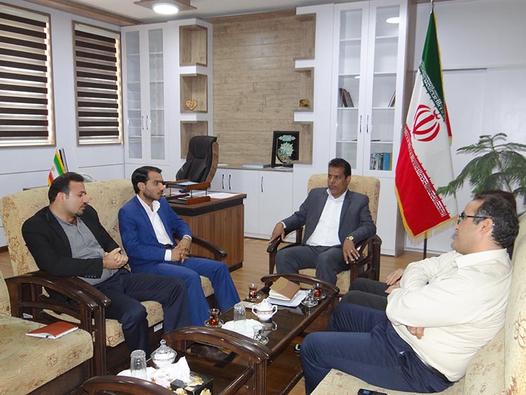 فرمانداردشتی: ۷۰۰ مهندس بسیجی در توسعه این شهرستان مشارکت دارند
