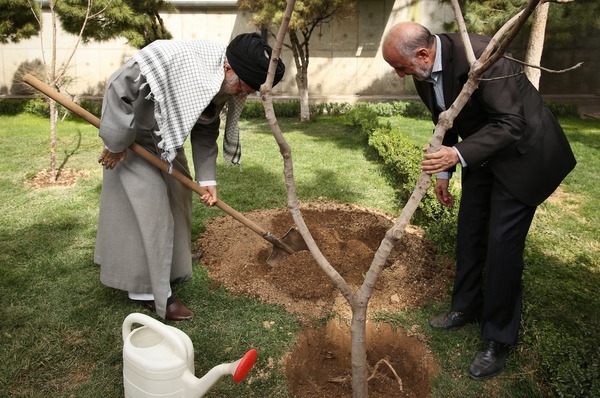 مسئولان مانع از بین رفتن درختان و باغات موجود در شهرها شوند