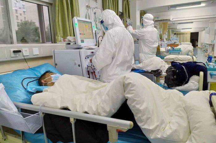 از شناسایی ۹۴۱ بیمار جدید تا ثبت ۲۰ فوتی کرونایی در بوشهر