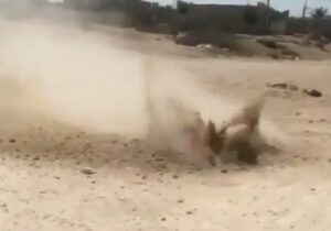 ماجرای جوشیدن عجیب خاک در بوشهر  چه بود؟